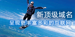 新域名,新機遇 互聯網產業發展新商機